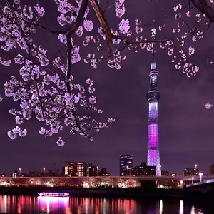 上野彩虹别墅 東京都